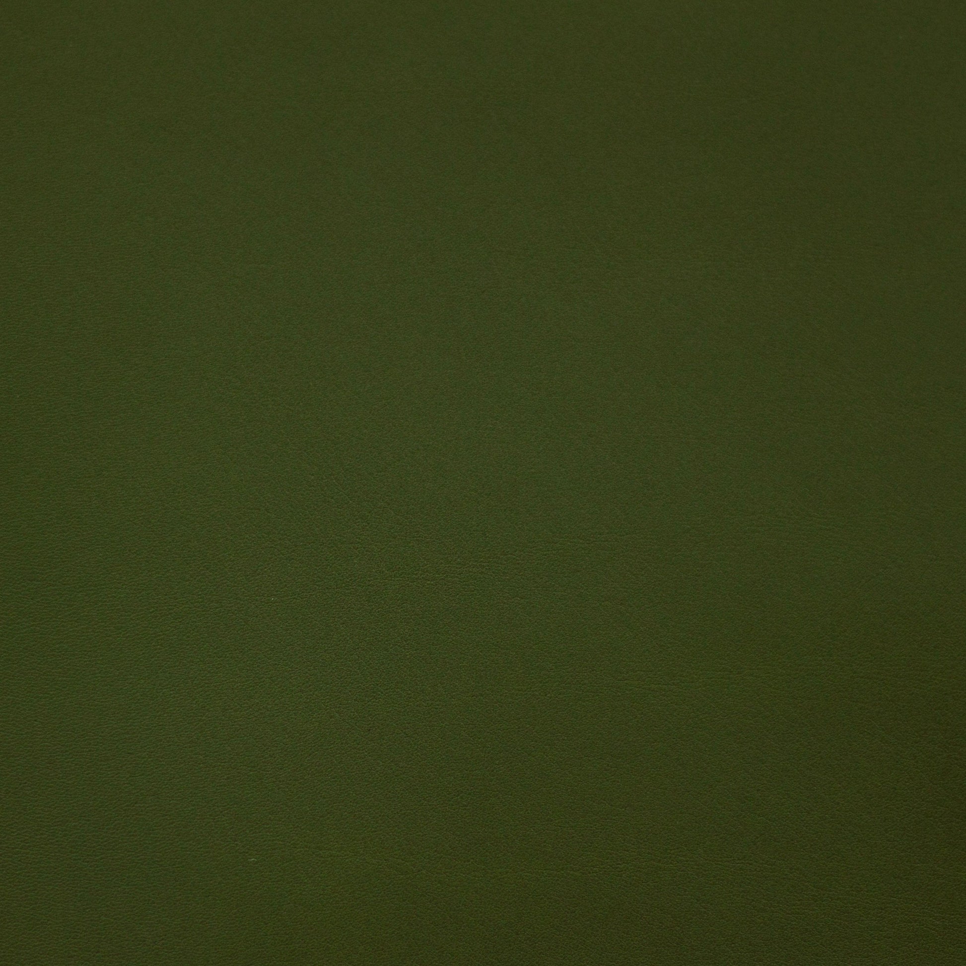 Renaissance, Caesar, Iconic® Antimicrobial & Cleanable, Hospitality Leather Hide