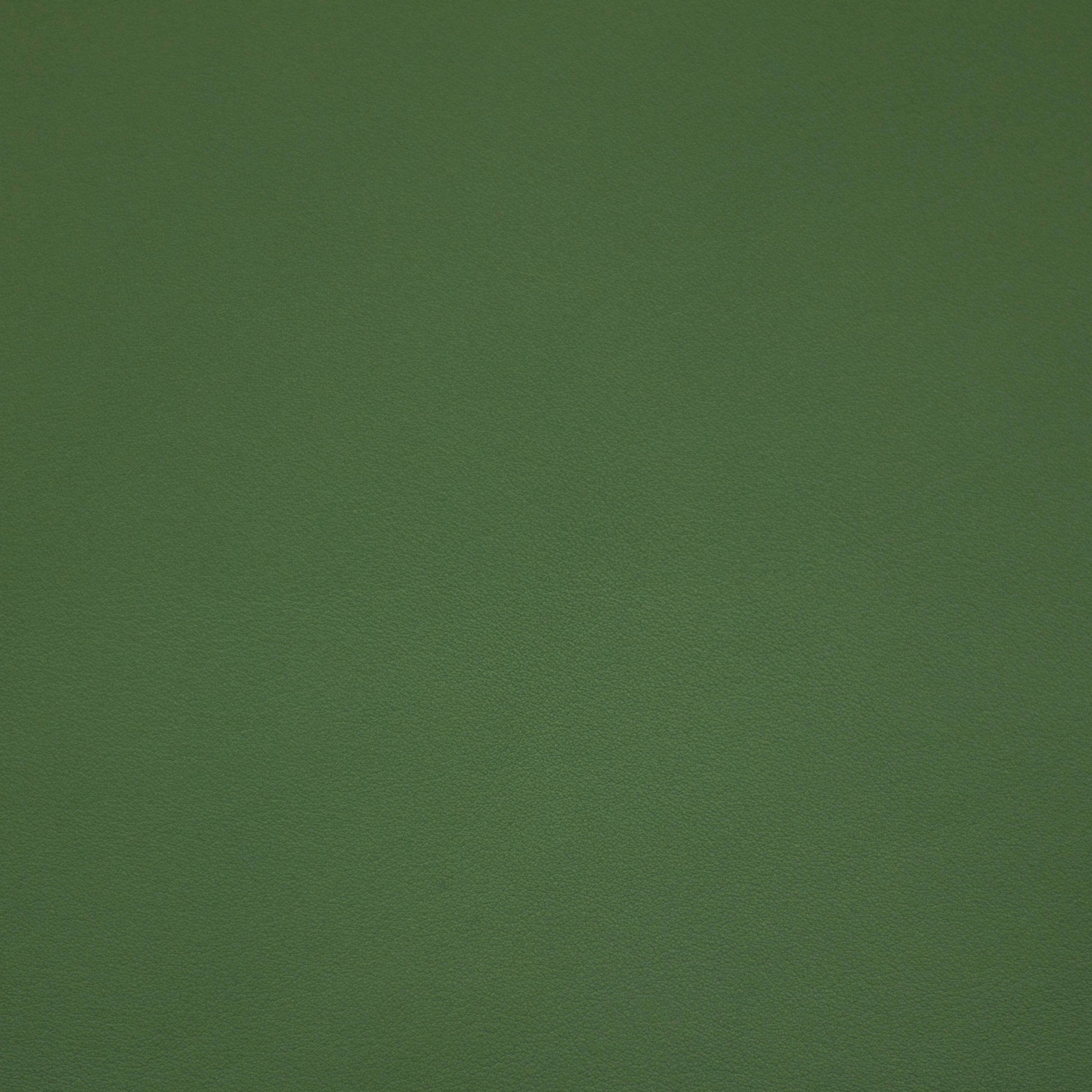 Renaissance, Celadon, Iconic® Antimicrobial & Cleanable,  Hospitality Leather Hide