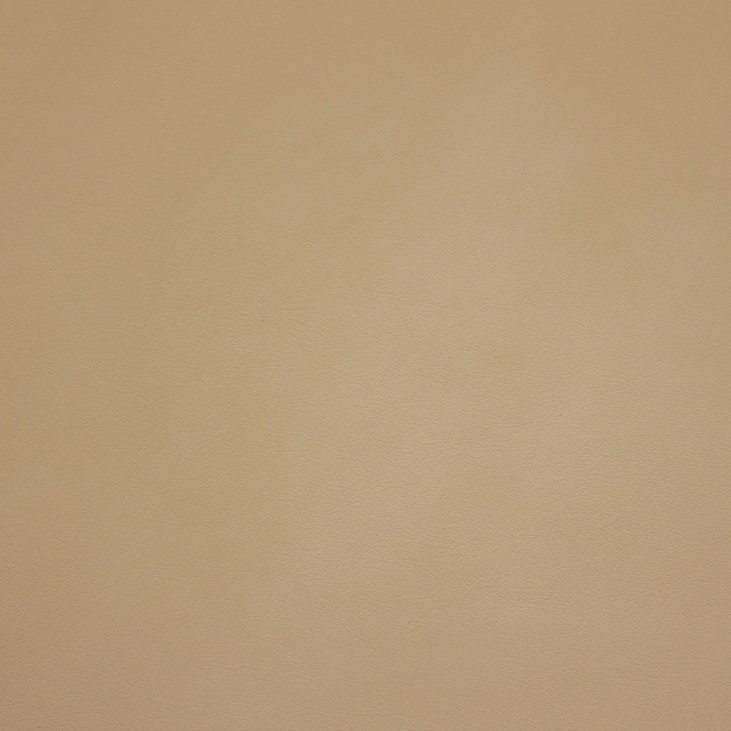Renaissance, Eggshell, Iconic® Antimicrobial & Cleanable, Hospitality Leather Hide