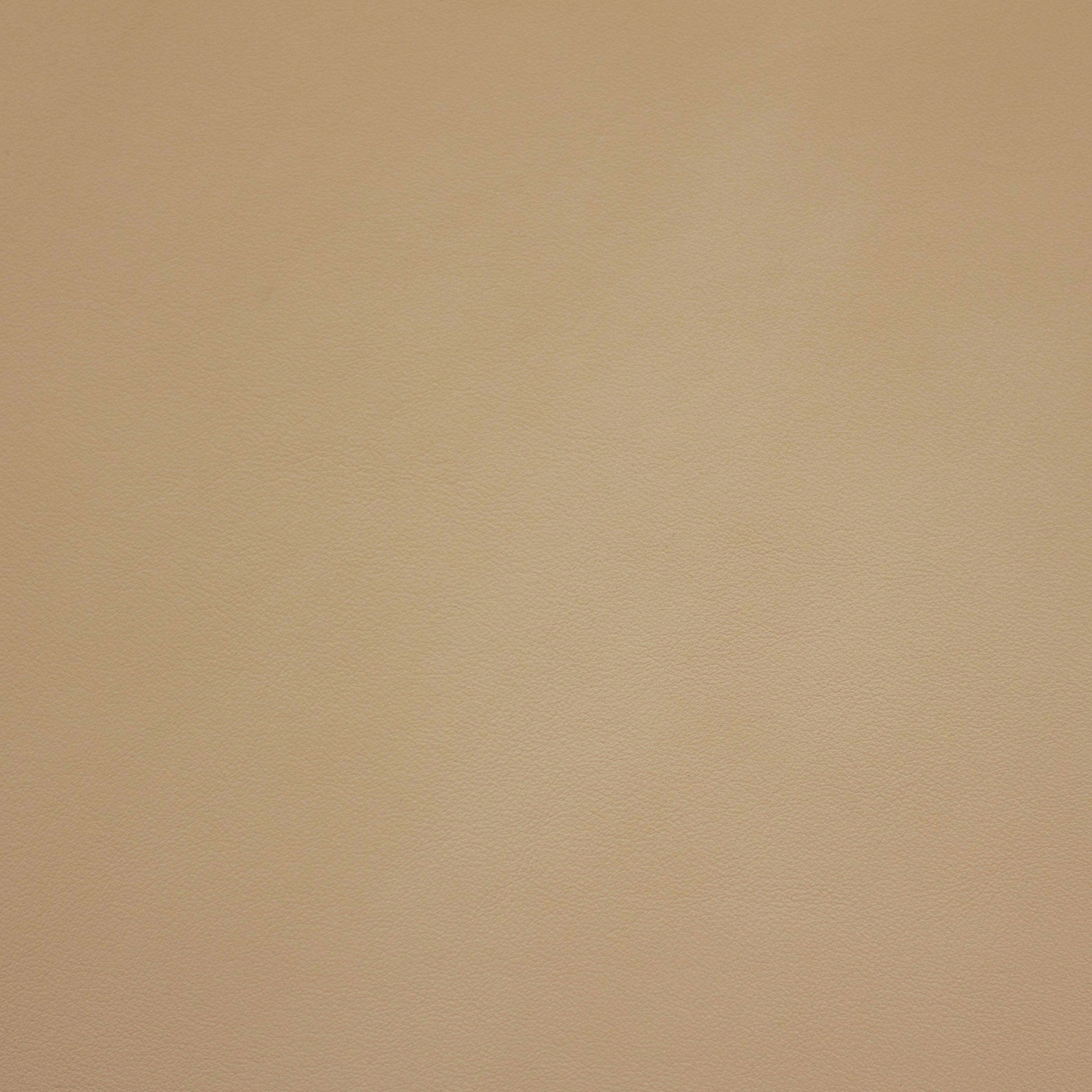 Renaissance, Eggshell, Iconic® Antimicrobial & Cleanable, Hospitality Leather Hide