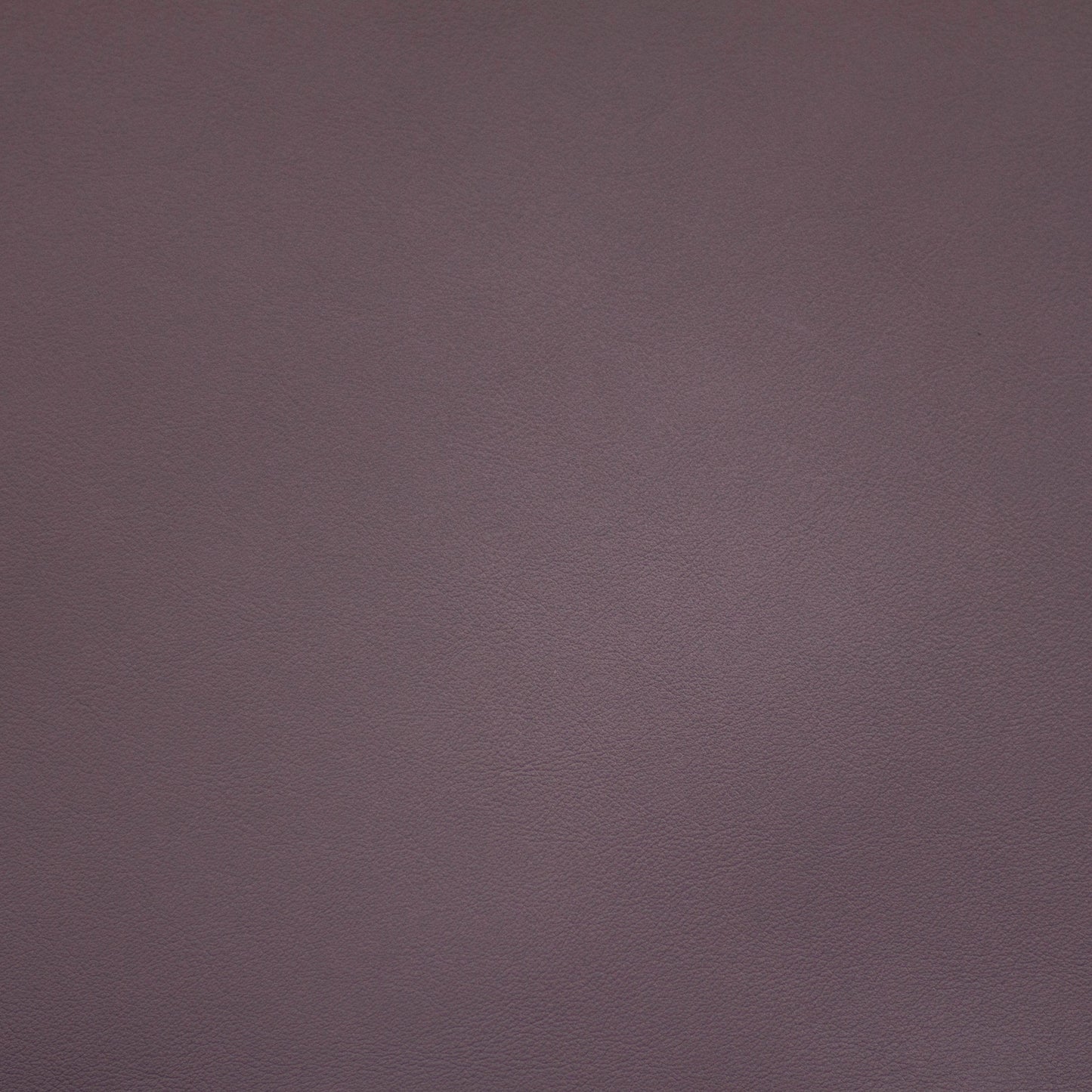 Renaissance, Jazz, Iconic® Antimicrobial & Cleanable, Hospitality Leather Hide