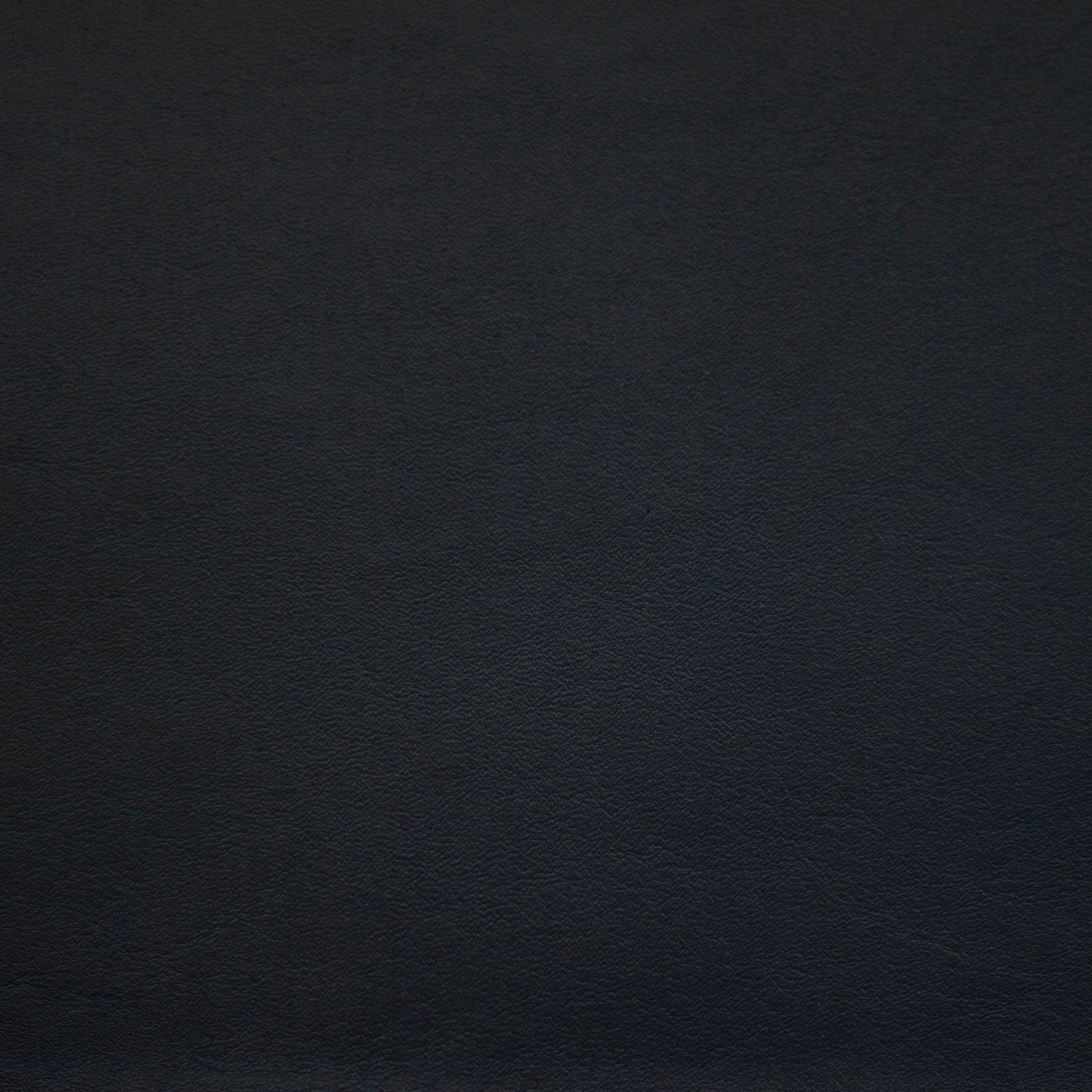 Renaissance. Melancholy, Iconic® Antimicrobial & Cleanable, Hospitality Leather Hide