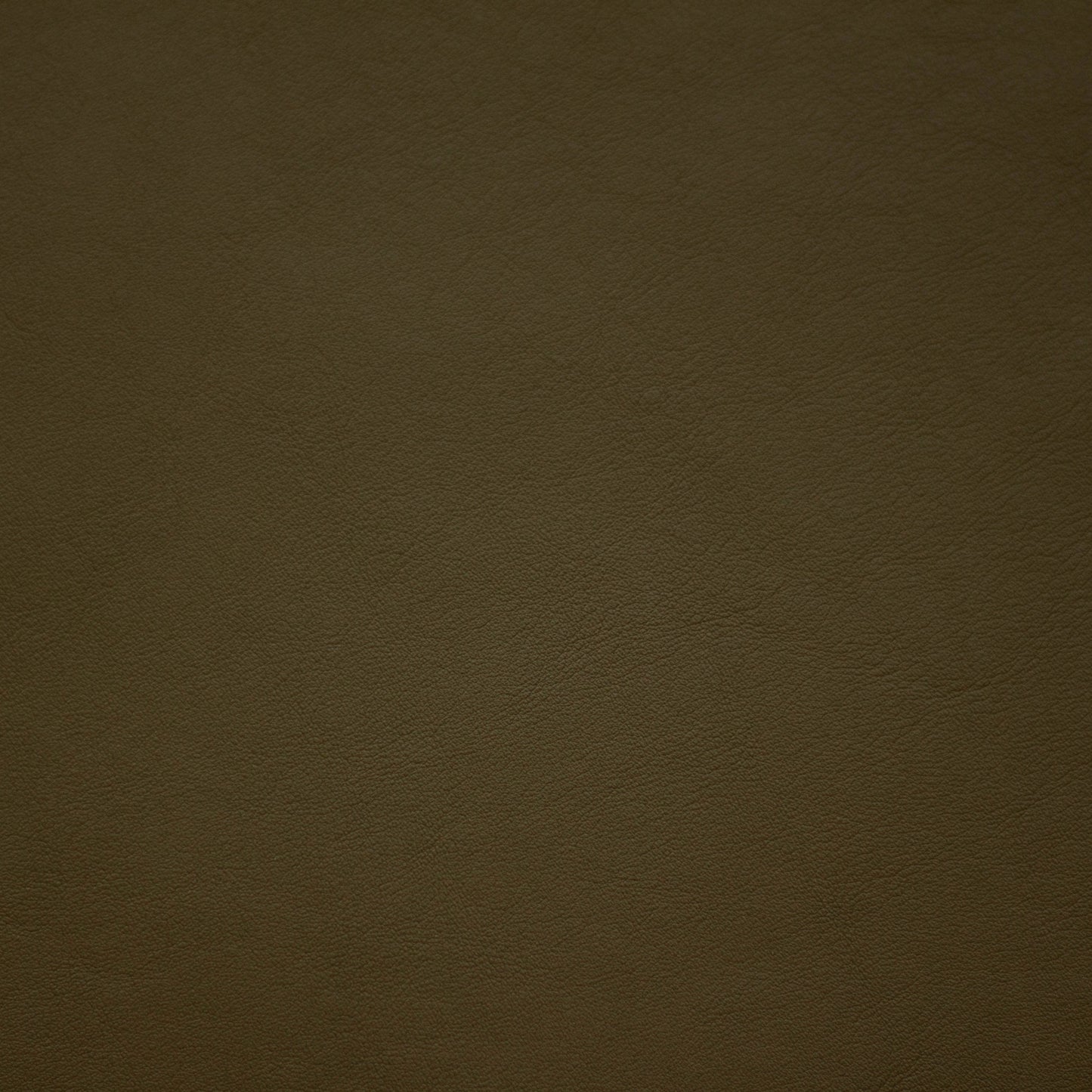 Renaissance, Pesto, Iconic® Antimicrobial & Cleanable, Hospitality Leather Hide