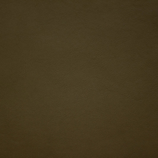 Renaissance, Pesto, Iconic® Antimicrobial & Cleanable, Hospitality Leather Hide
