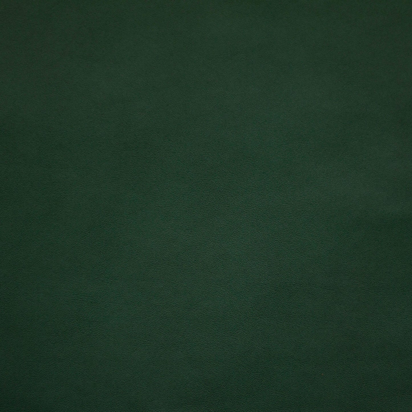 Renaissance, Shamrock, Iconic® Antimicrobial & Cleanable, Hospitality Leather Hide