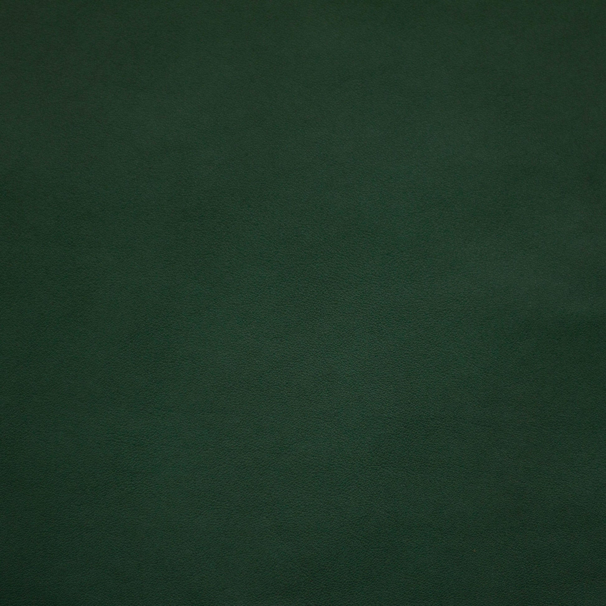 Renaissance, Shamrock, Iconic® Antimicrobial & Cleanable, Hospitality Leather Hide