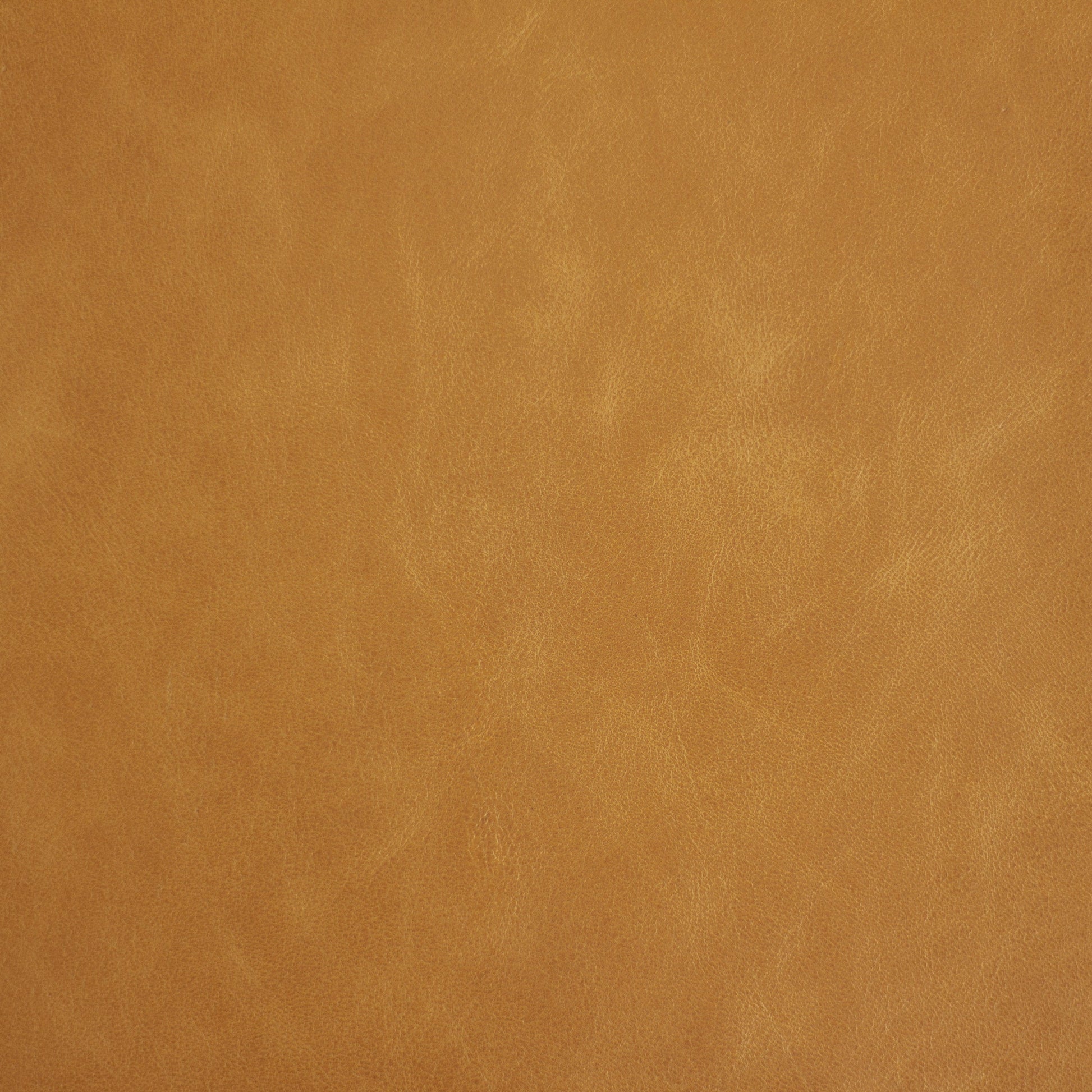 Rio Grande, Delta, Spilltop® Water Resistance, Hospitality Leather Hide