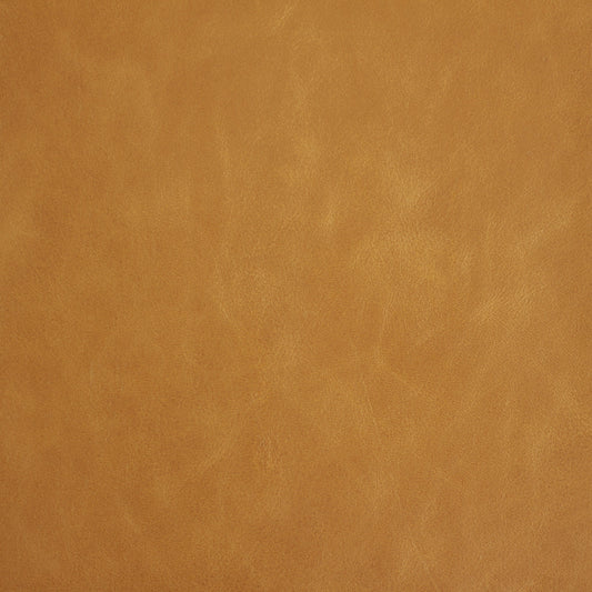 Rio Grande, Delta, Spilltop® Water Resistance, Hospitality Leather Hide