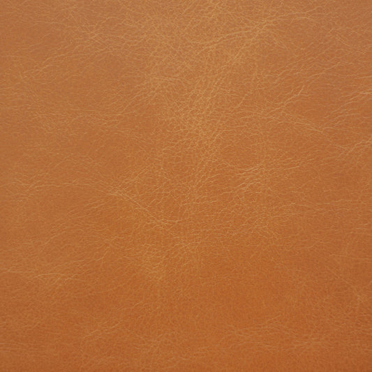 Sierra, Bastille, Spilltop® Water Resistance, Hospitality Leather Hide