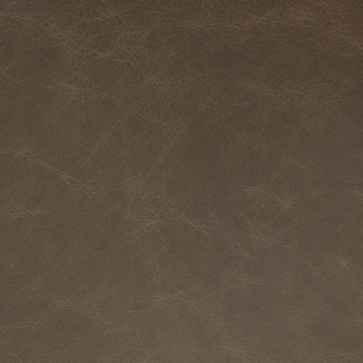 Sierra, Lunar,  Spilltop® Water Resistance, Hospitality Leather Hide