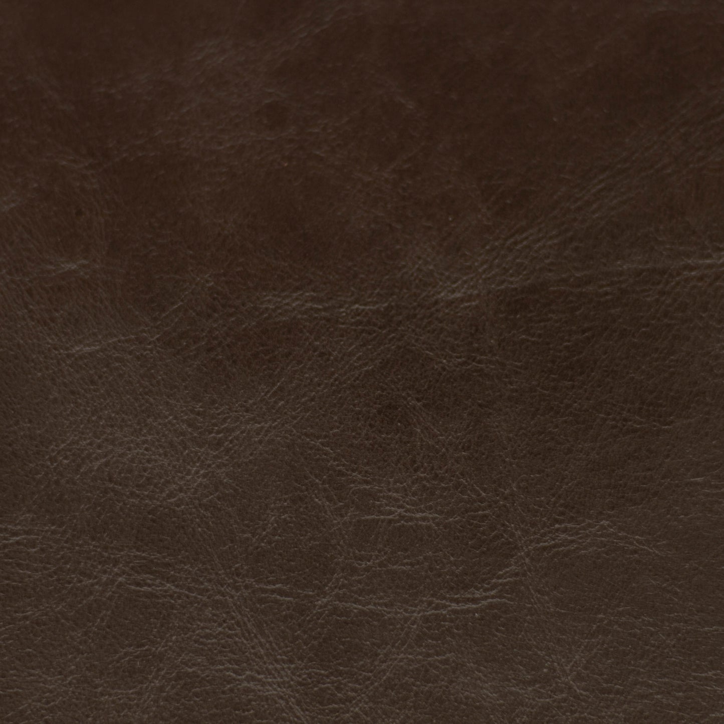 Sierra, Obsidian, Spilltop® Water Resistance, Hospitality Leather Hide