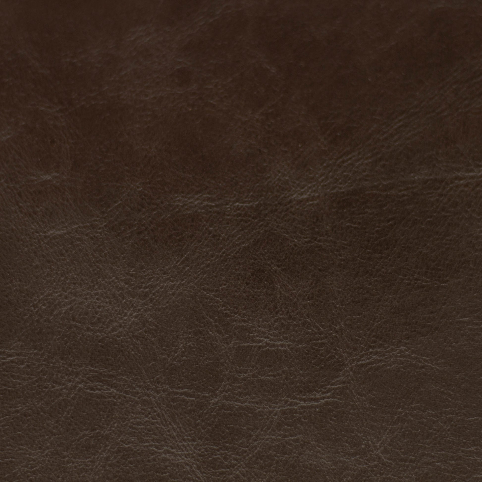 Sierra, Obsidian, Spilltop® Water Resistance, Hospitality Leather Hide