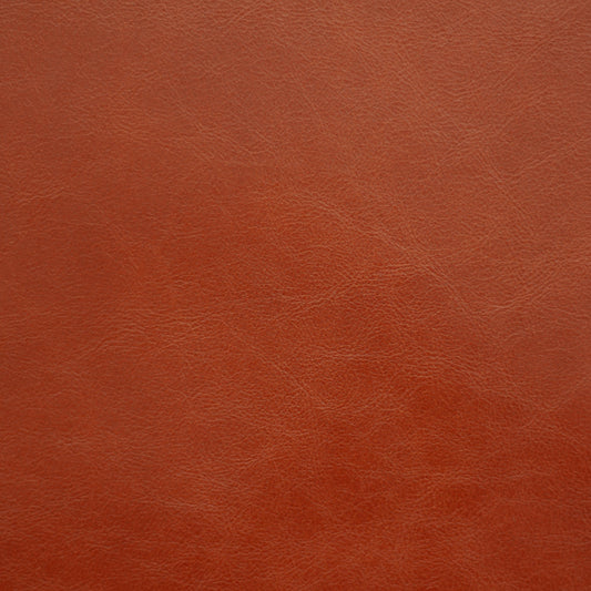 Sierra, Terracotta,  Spilltop® Water Resistance, Hospitality Leather Hide