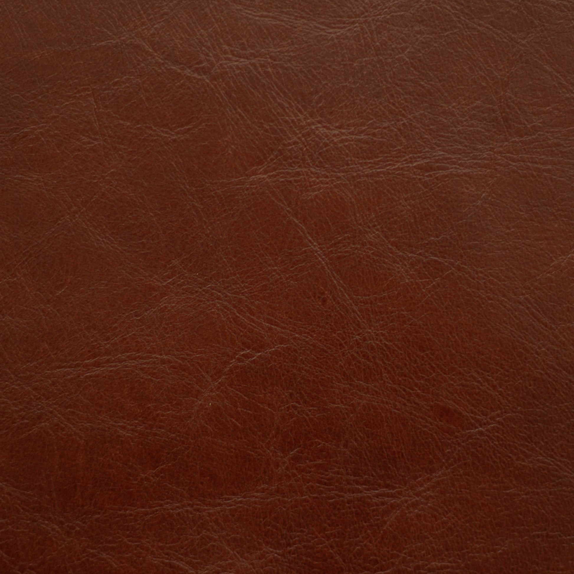 Sierra, Ursa, Spilltop® Water Resistance, Hospitality Leather Hide