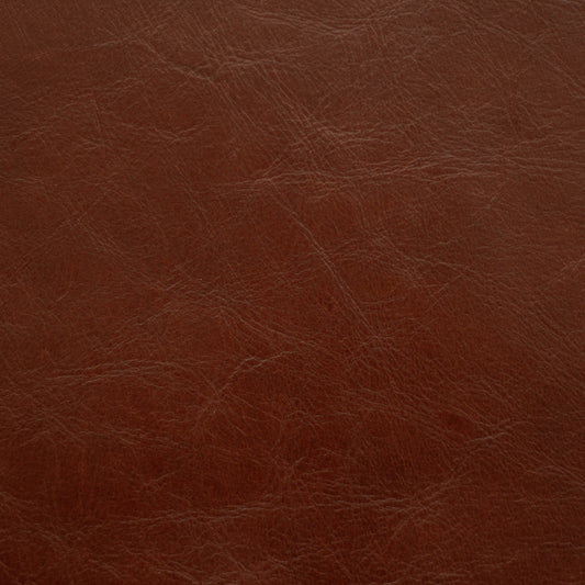 Sierra, Ursa, Spilltop® Water Resistance, Hospitality Leather Hide