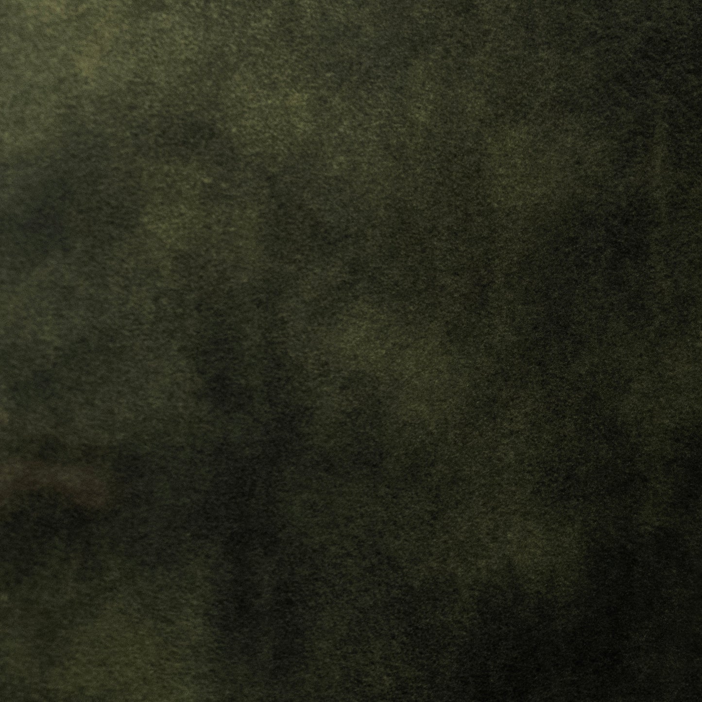 Dark green leather swatch