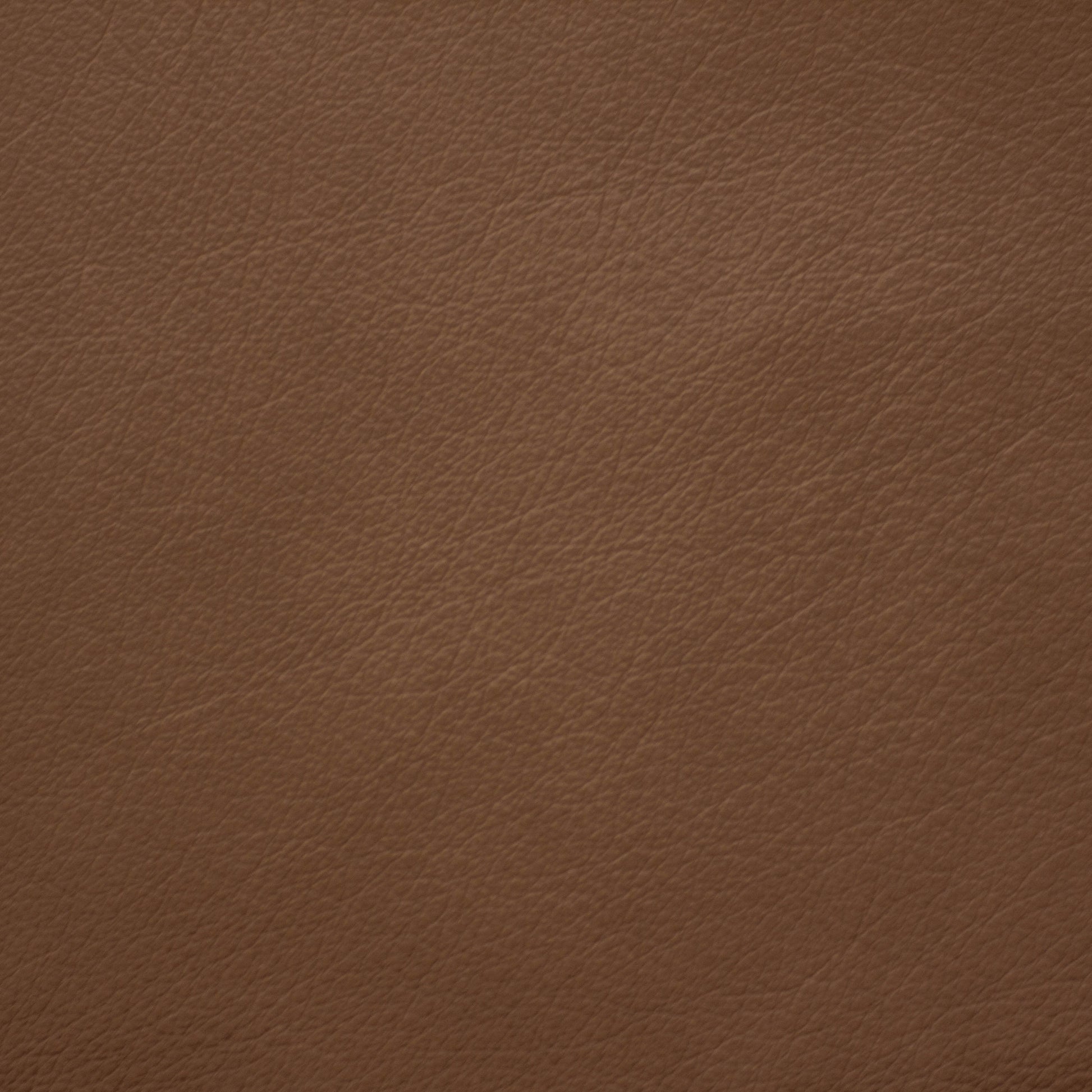 Trattoria, Porcini, Spilltop® Water Resistance, Hospitality Leather Hide