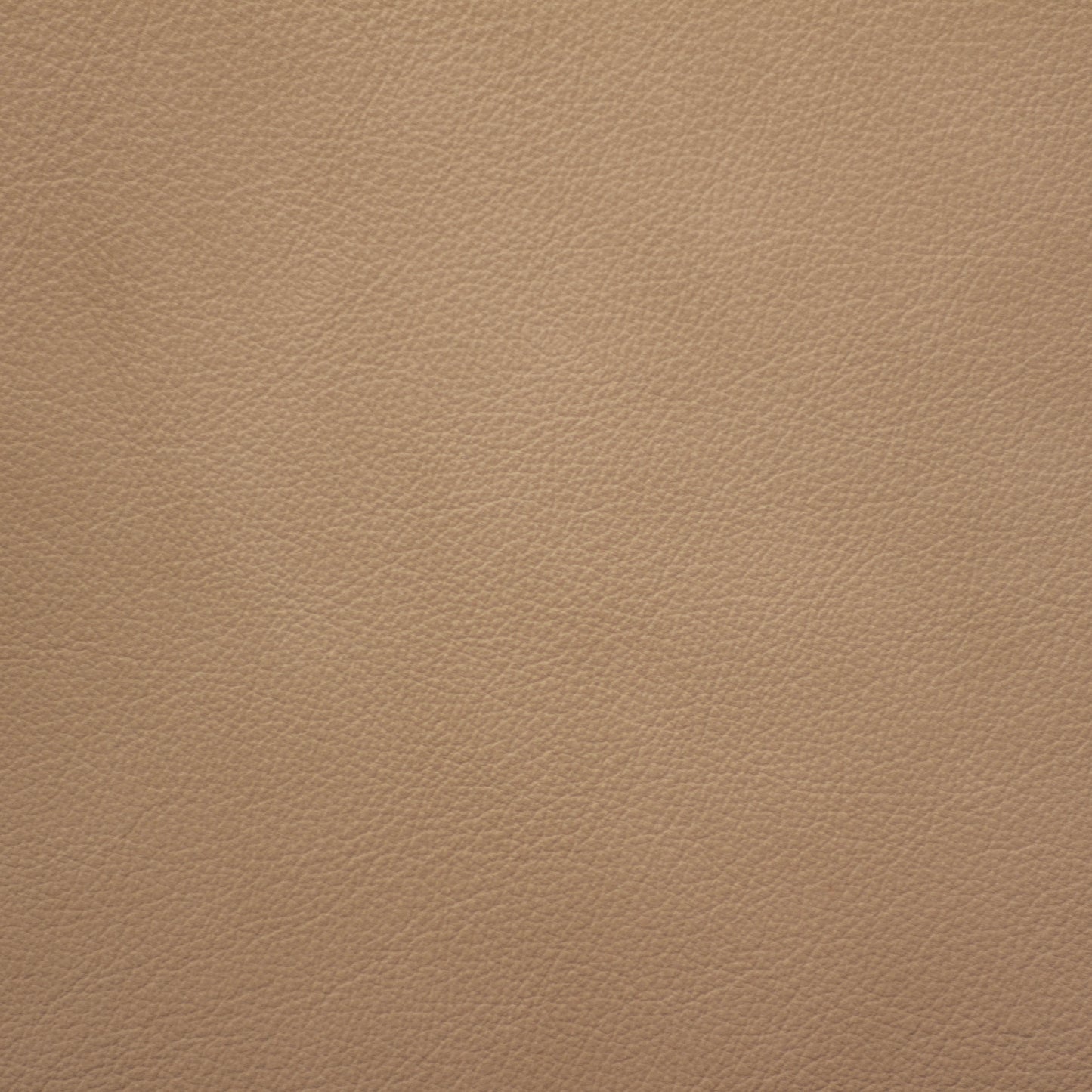 Trattoria, Risotto, Spilltop® Water Resistance, Hospitality Leather Hide