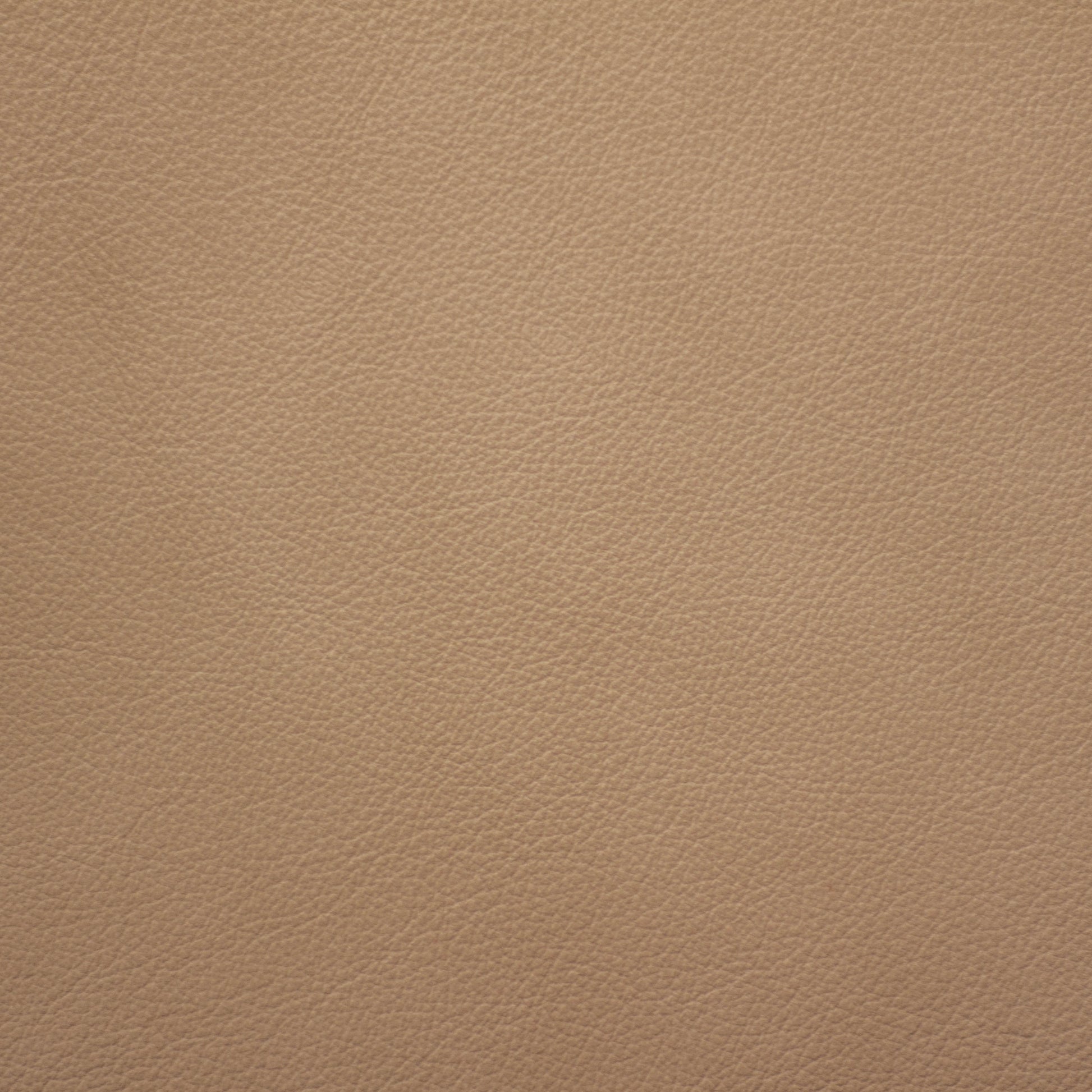 Trattoria, Risotto, Spilltop® Water Resistance, Hospitality Leather Hide