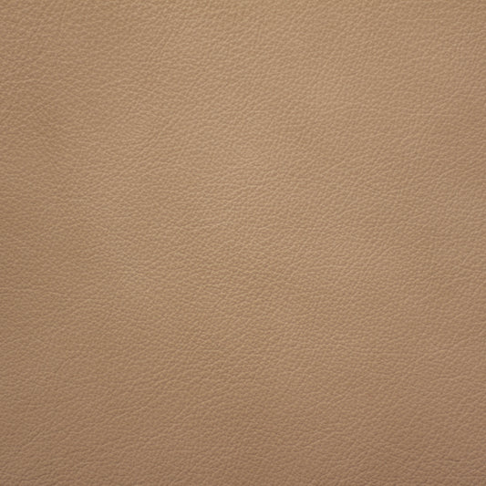 Trattoria, Risotto, Spilltop® Water Resistance, Hospitality Leather Hide