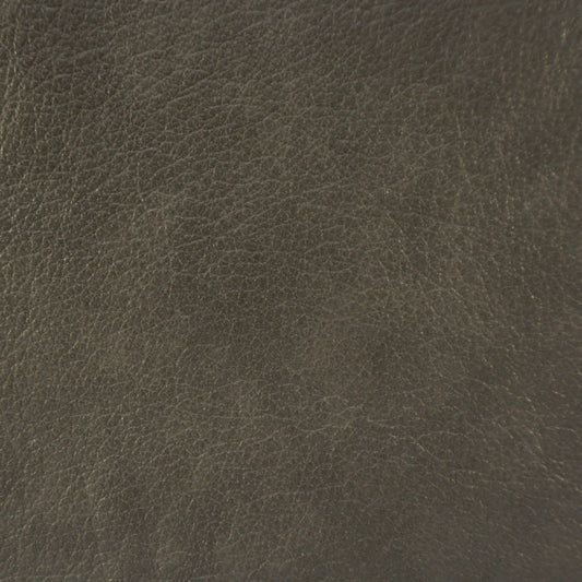 Trattoria, Sardina, Spilltop® Water Resistance, Hospitality Leather Hide