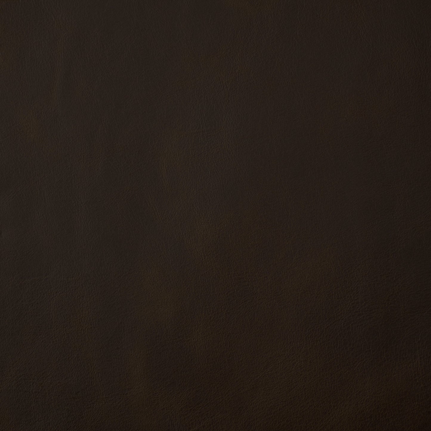 Solid dark brown leather swatch