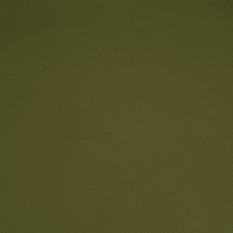 Aquarius, Iconic® Antimicrobial / Cleanable, Leather Collection
