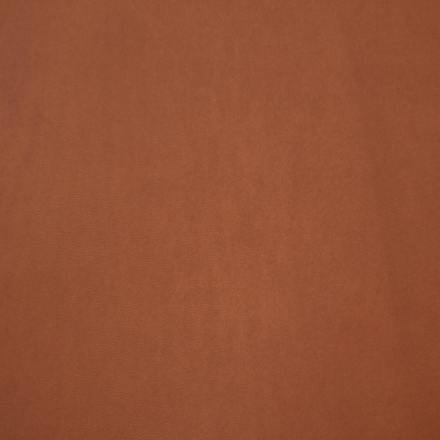 Angst, Ochre, Spilltop® Water Resistance, Hospitality Leather Hide