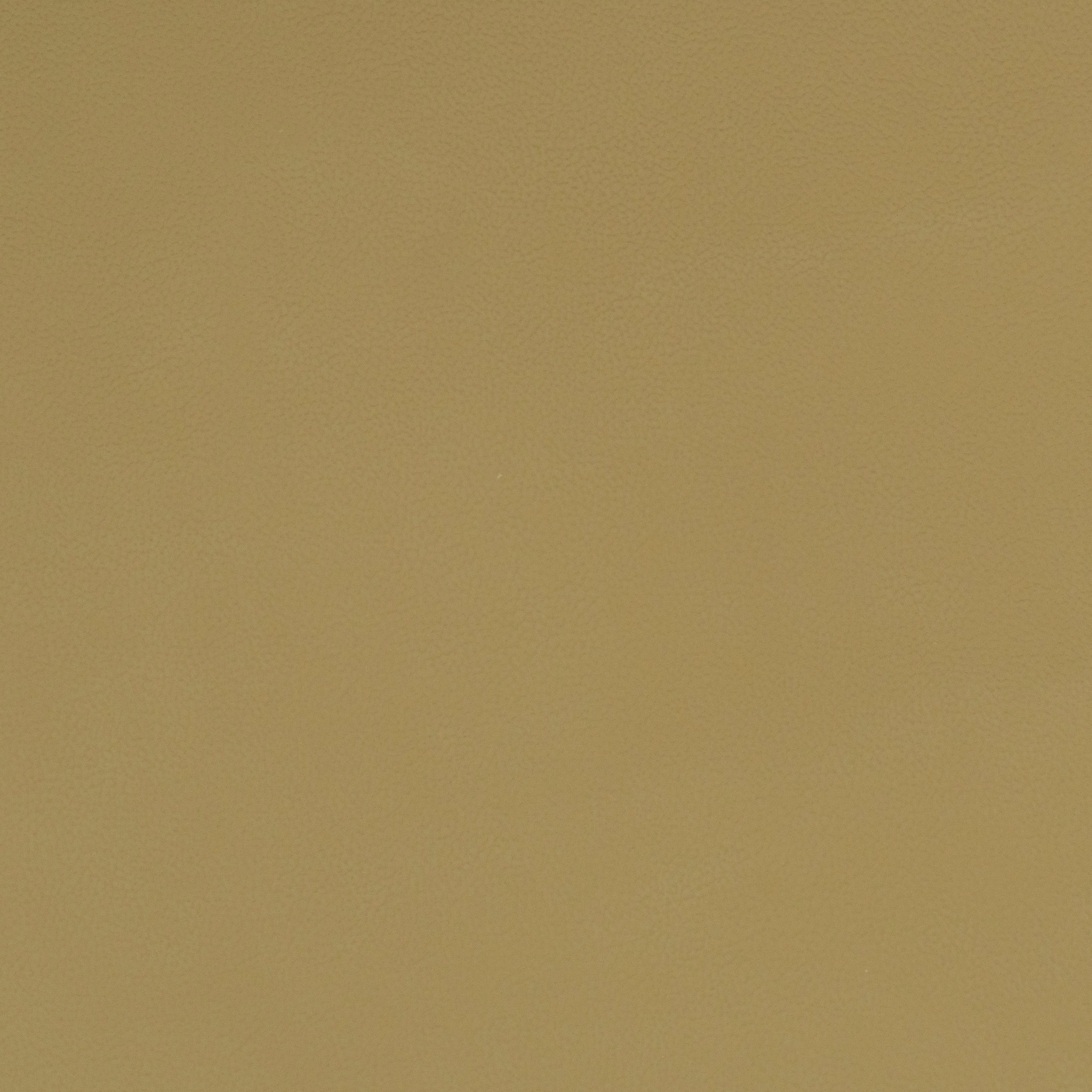 Solid beige leather color swatch