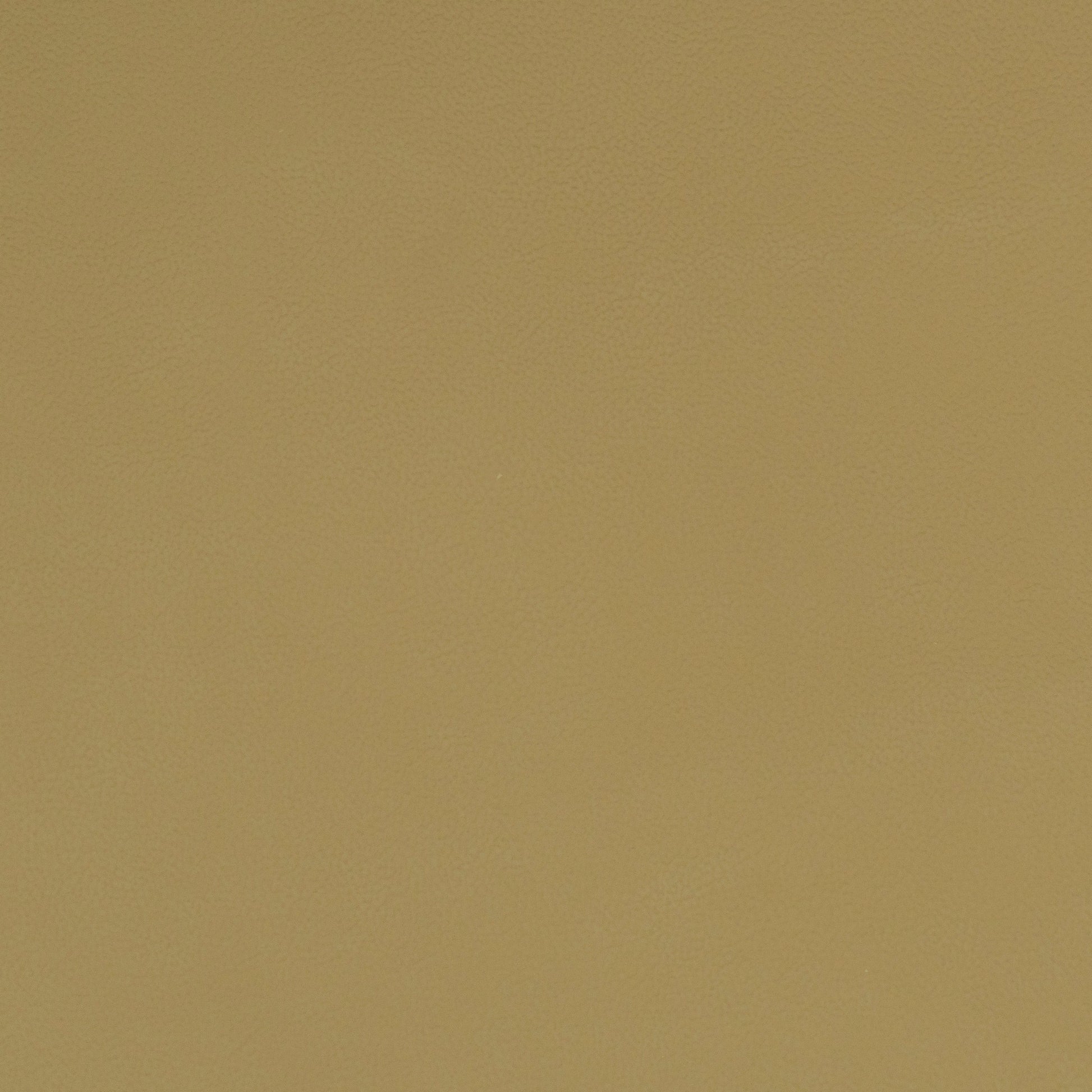 Solid beige leather color swatch