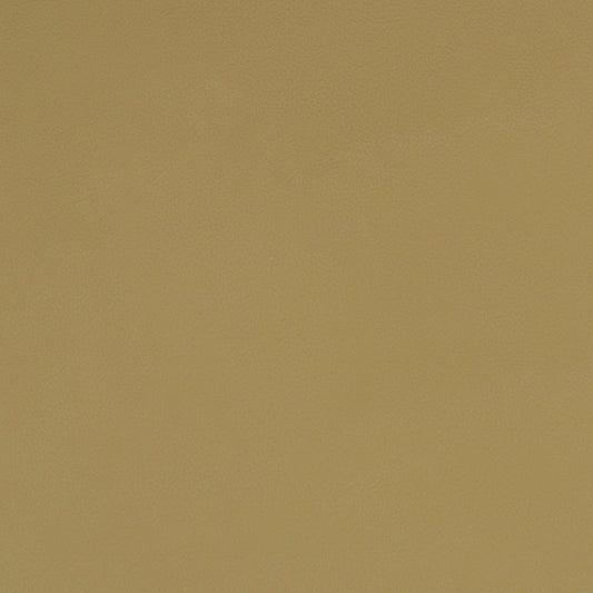 Solid beige leather color swatch