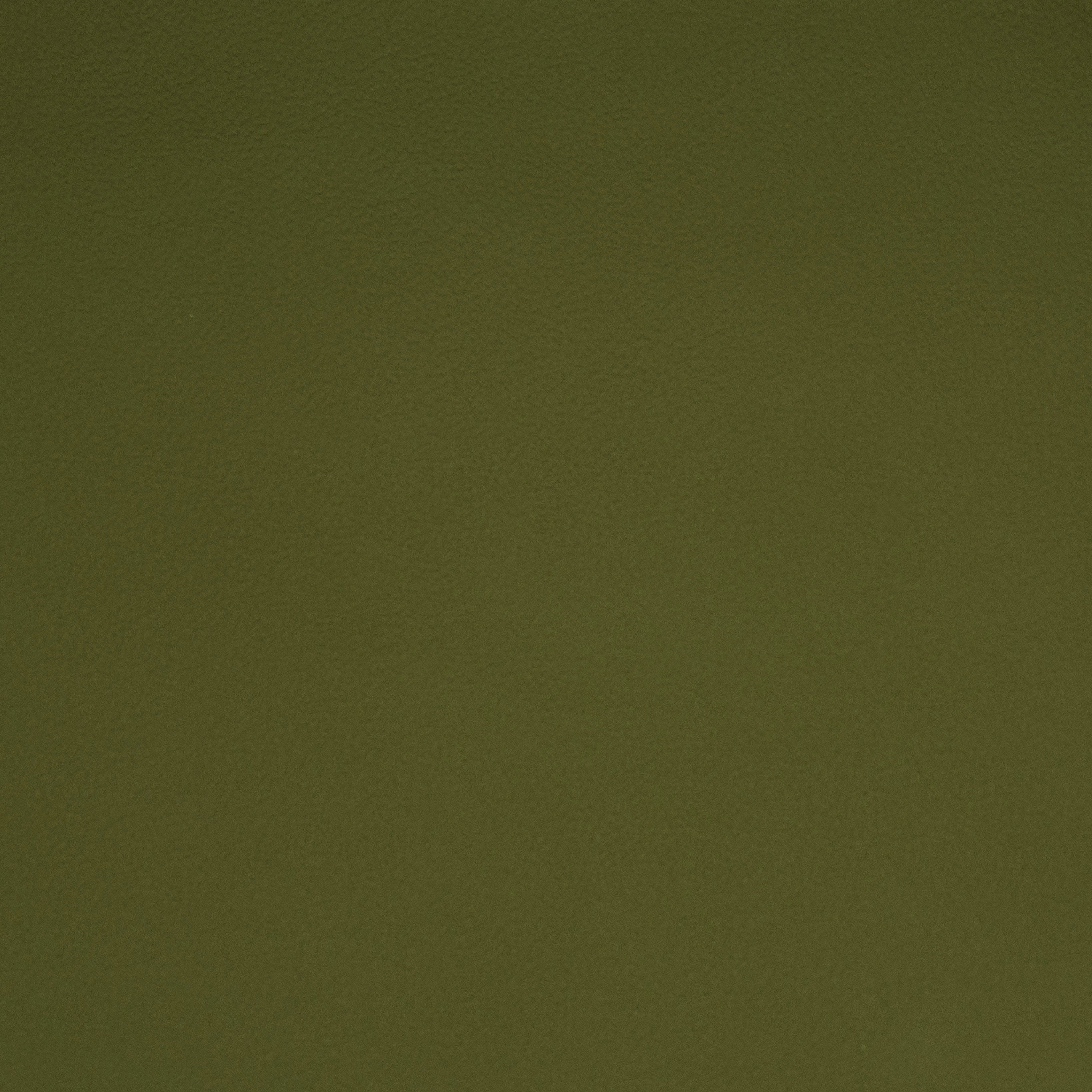 Solid green color swatch