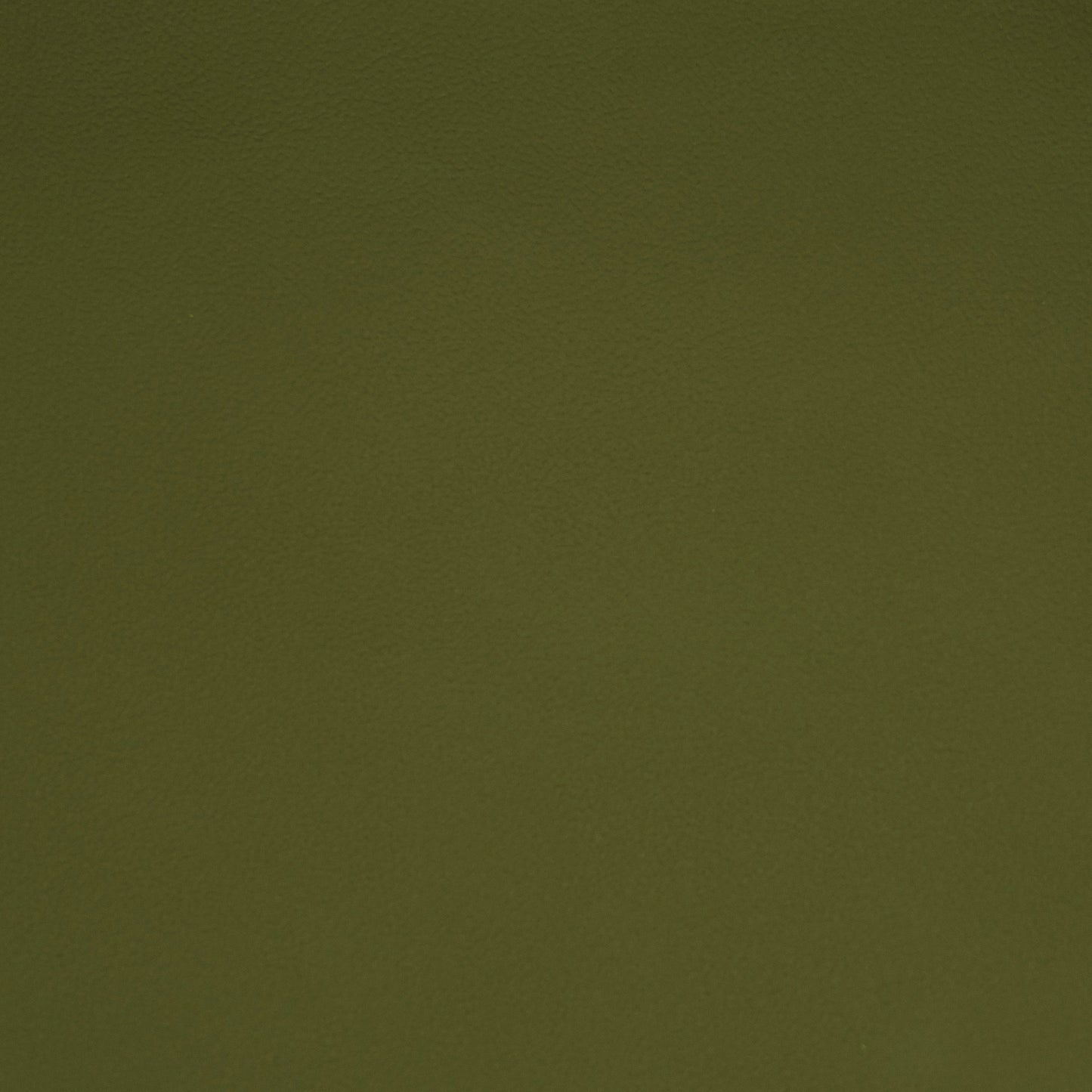 Solid green color swatch