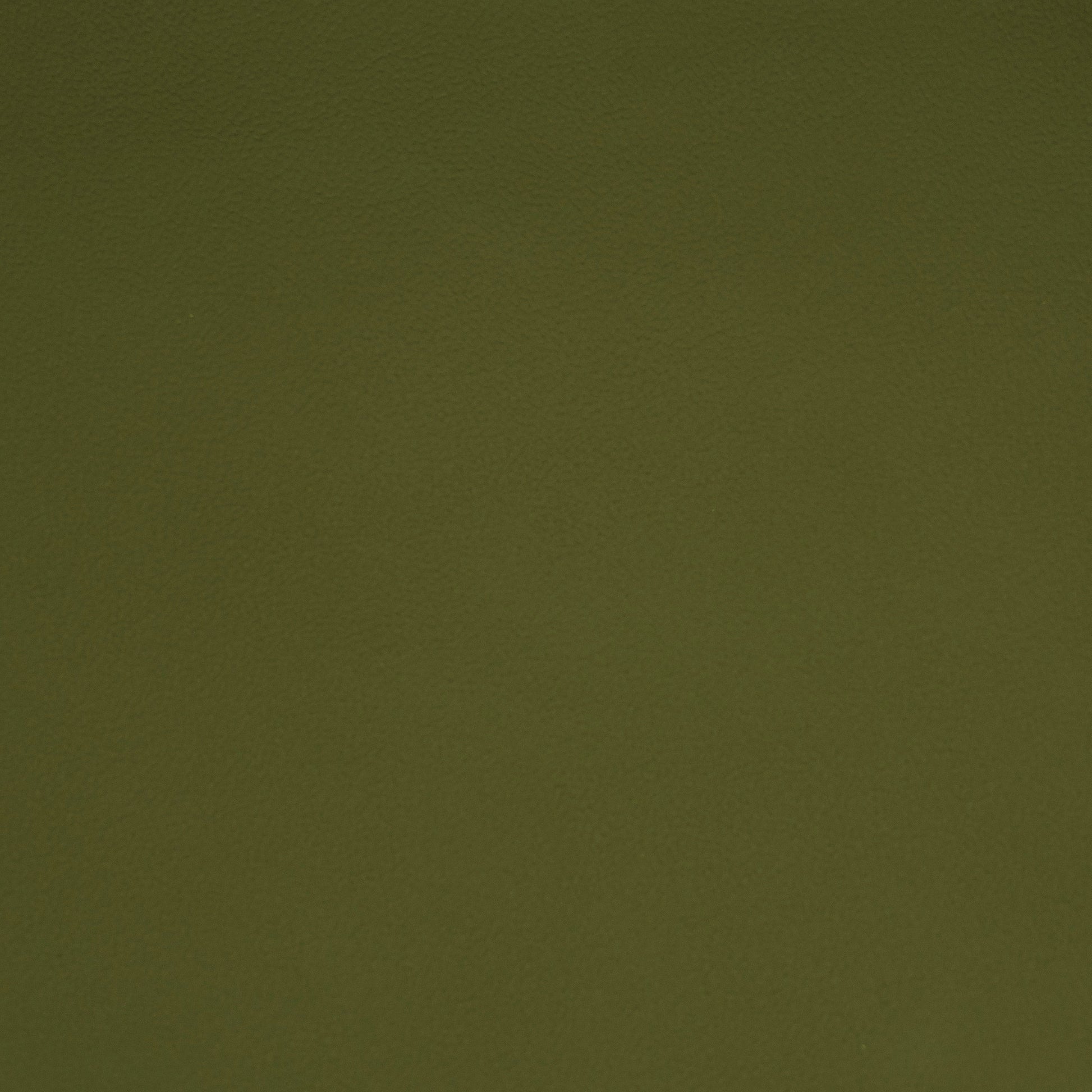 Solid green color swatch