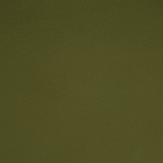 Solid green color swatch