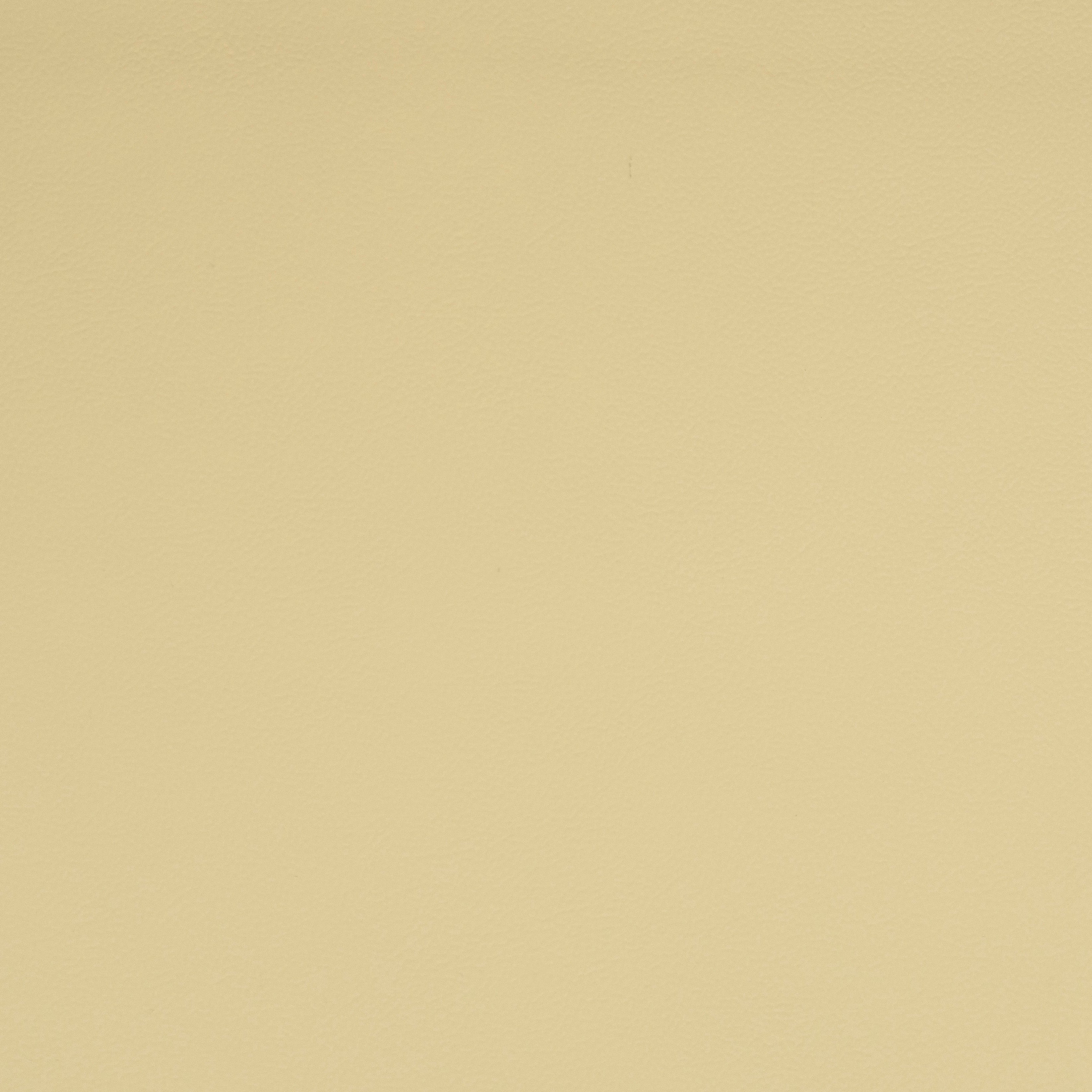 Solid cream leather color swatch
