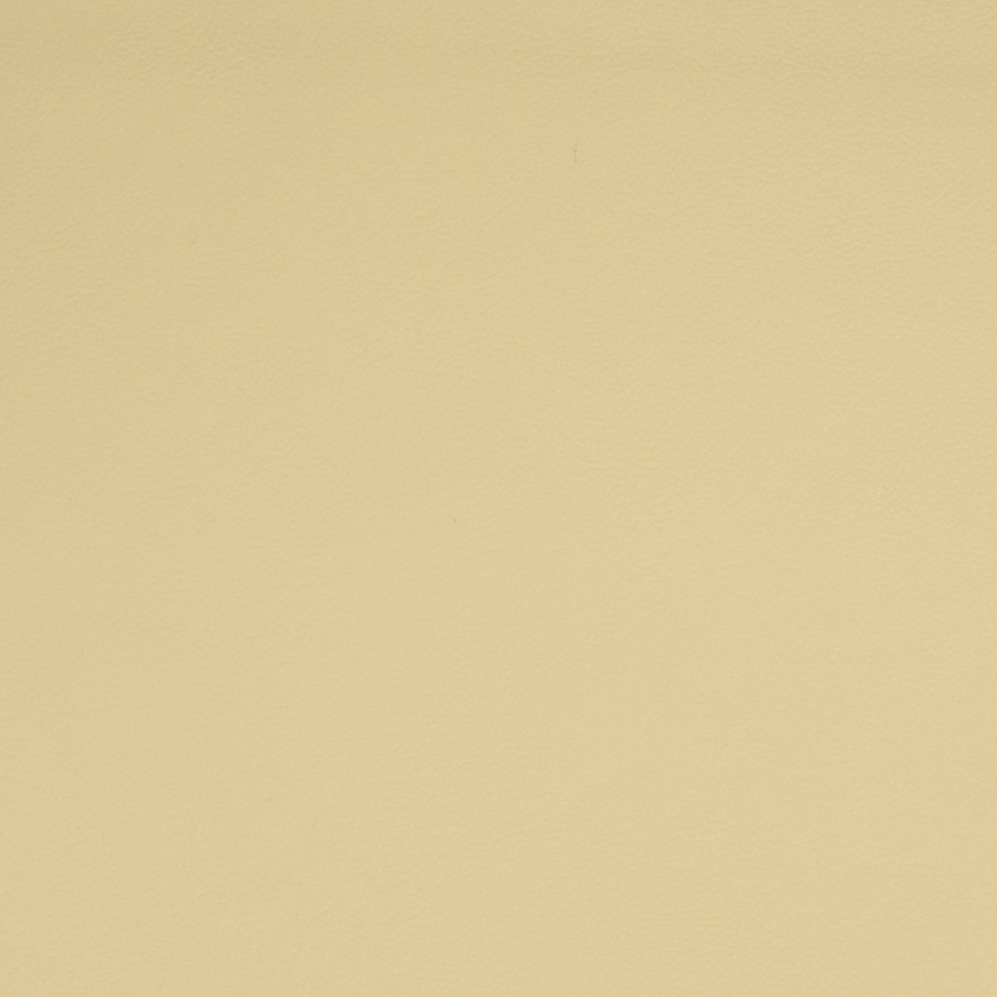 Solid cream leather color swatch