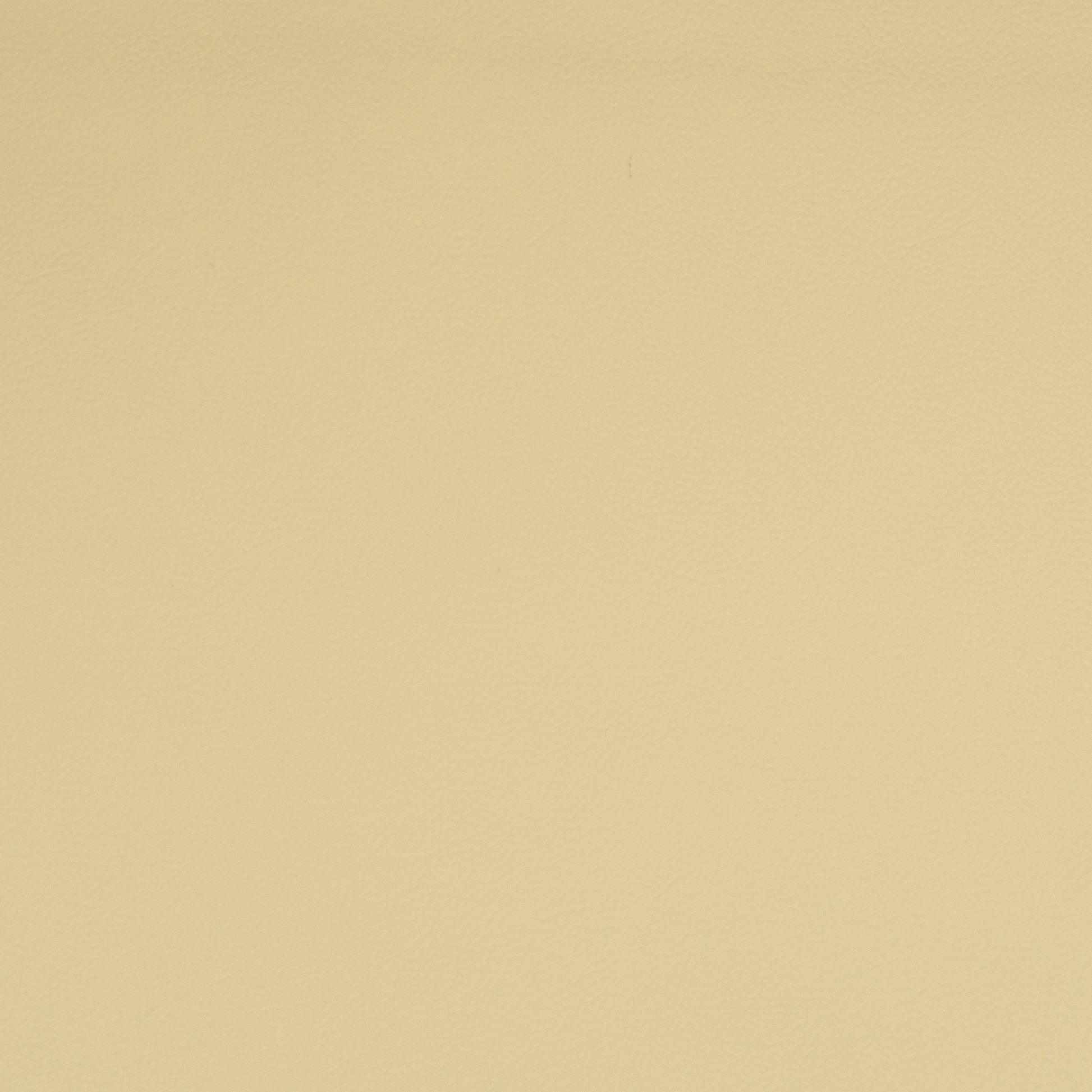 Solid cream leather color swatch