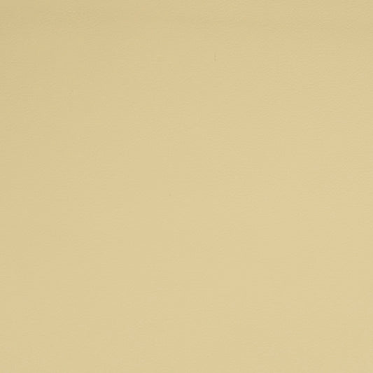 Solid cream leather color swatch