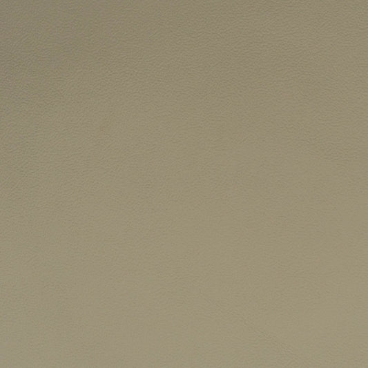 Solid gray leather color swatch