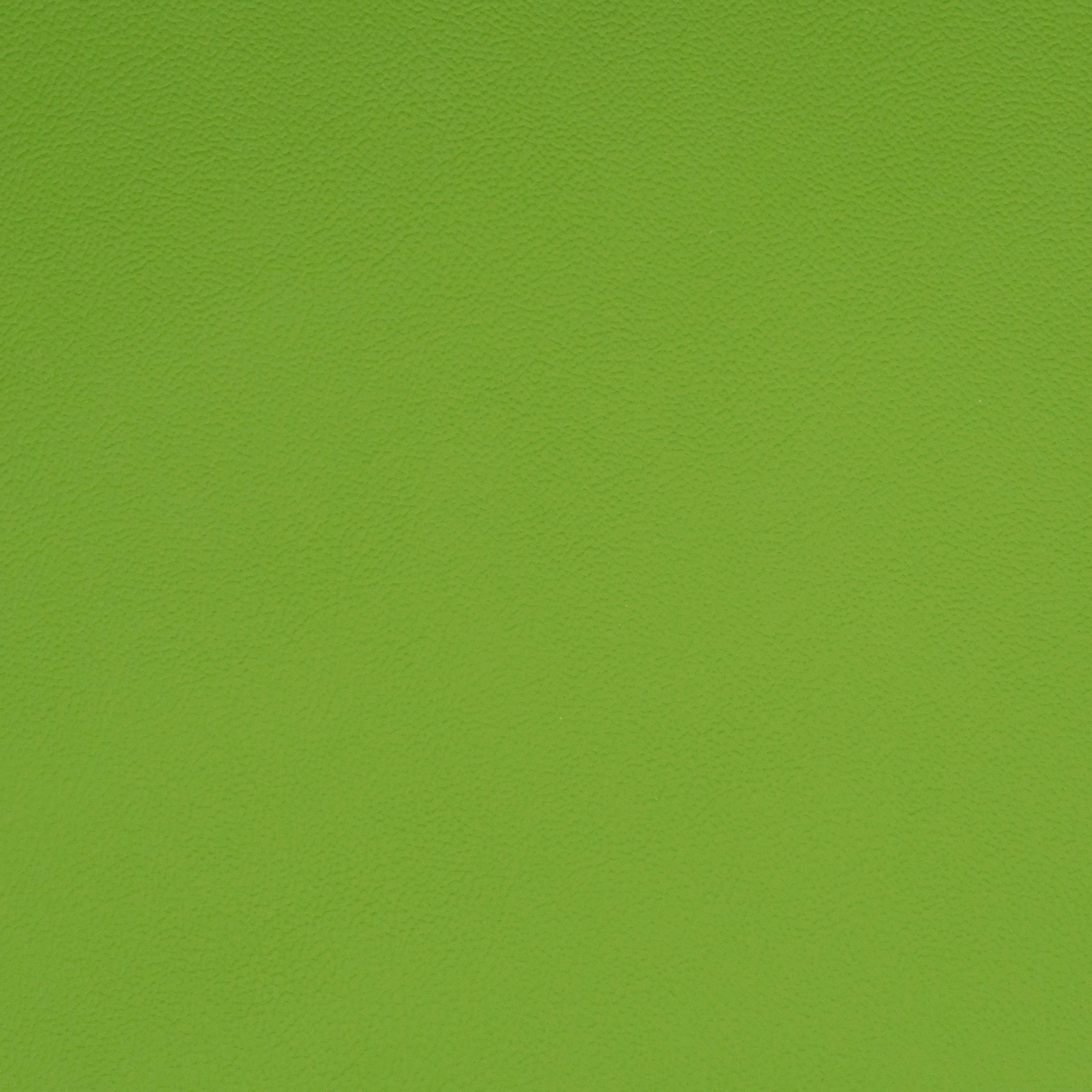 Solid green leather color swatch