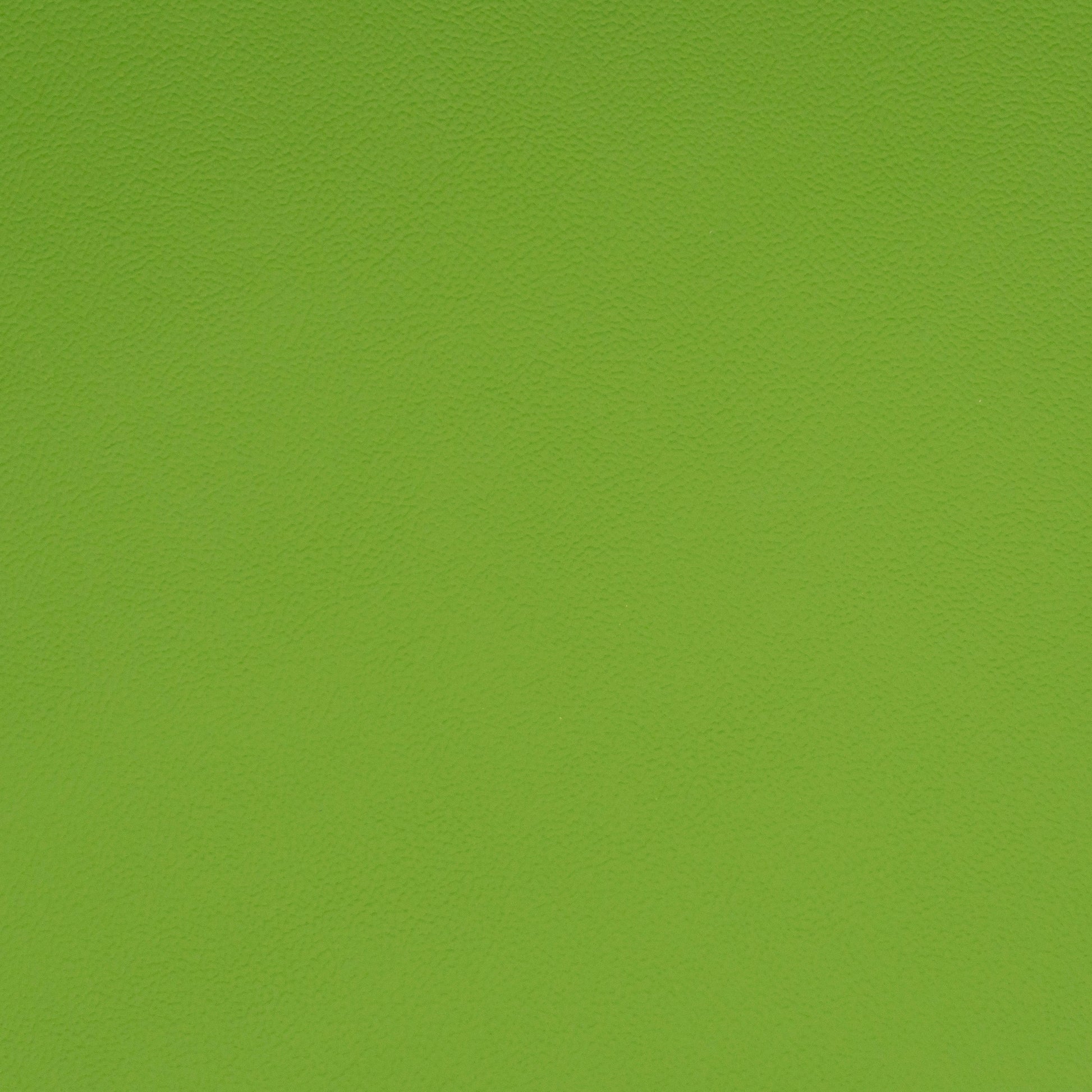 Solid green leather color swatch