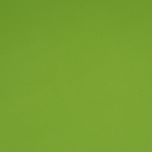 Solid green leather color swatch