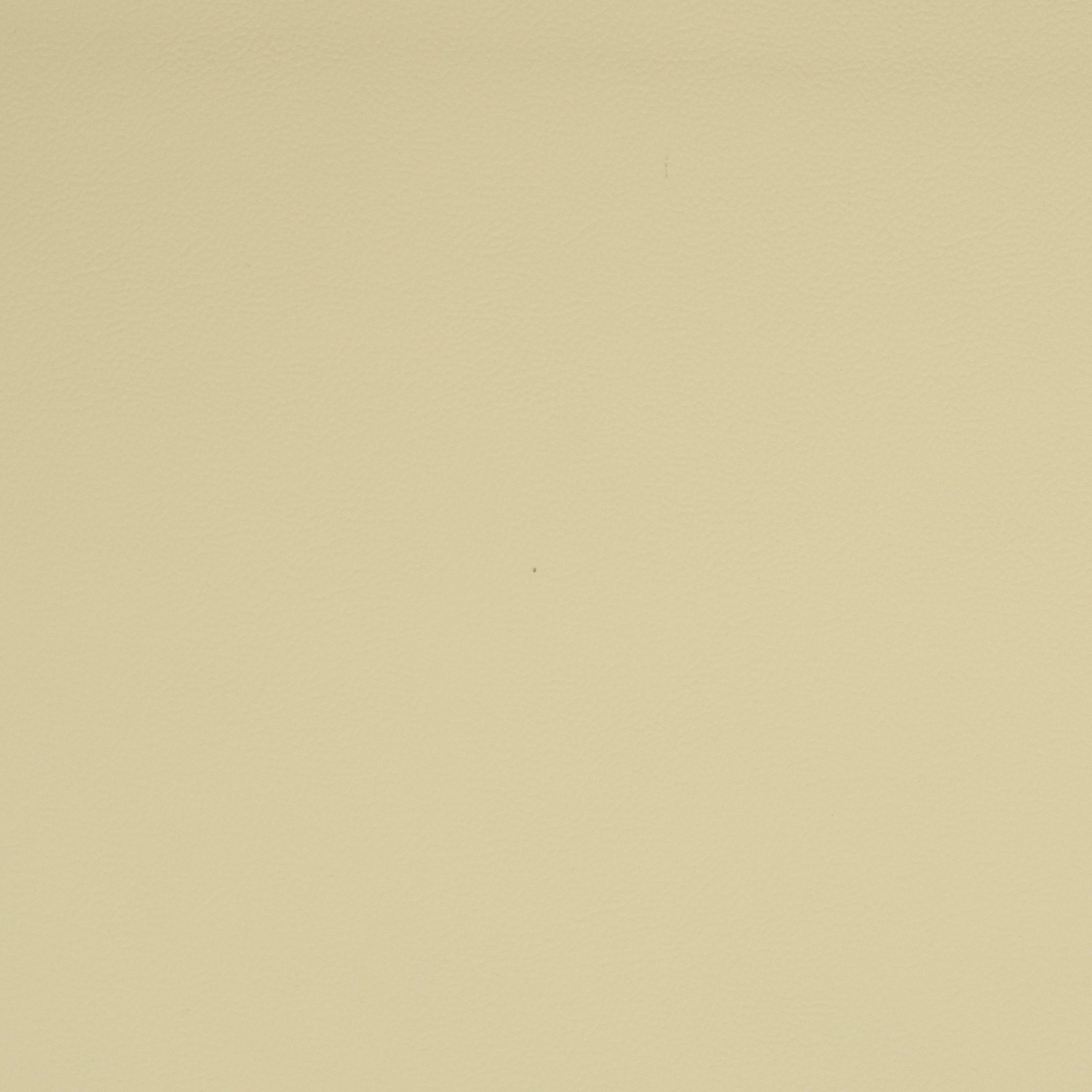 Solid white leather color swatch