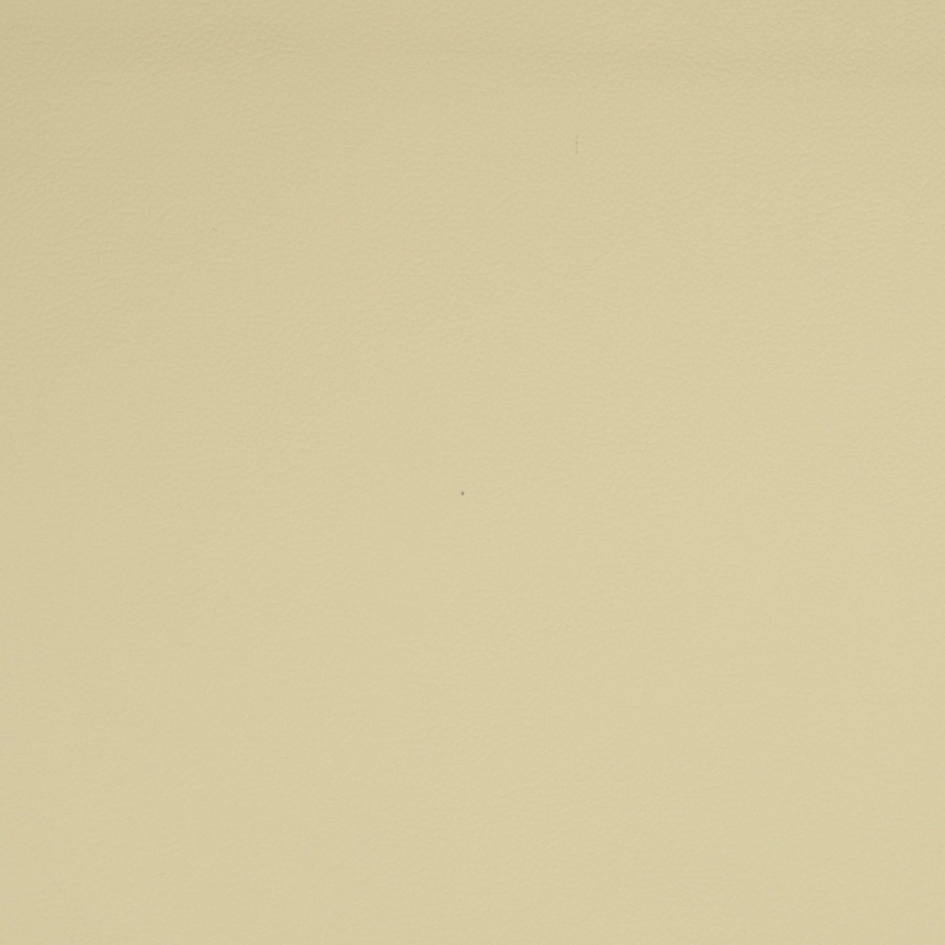 Solid white leather color swatch