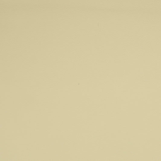 Solid white leather color swatch
