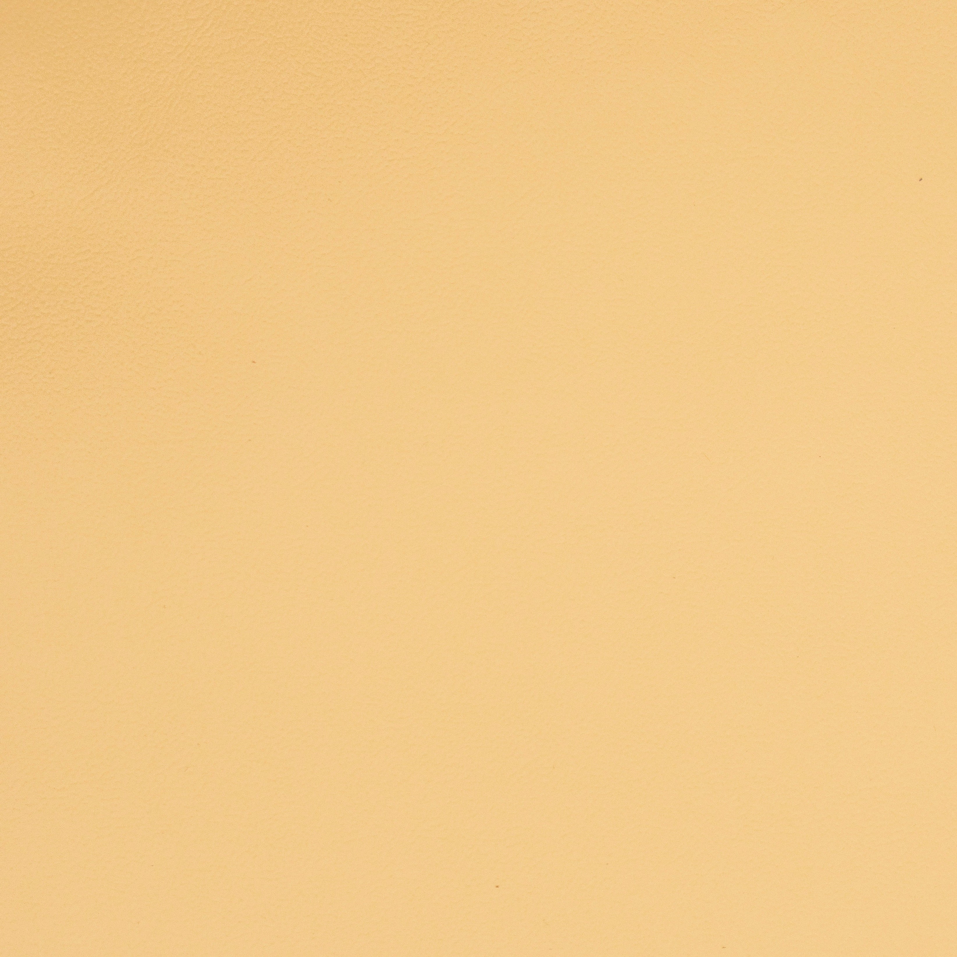 Solid beige leather color swatch