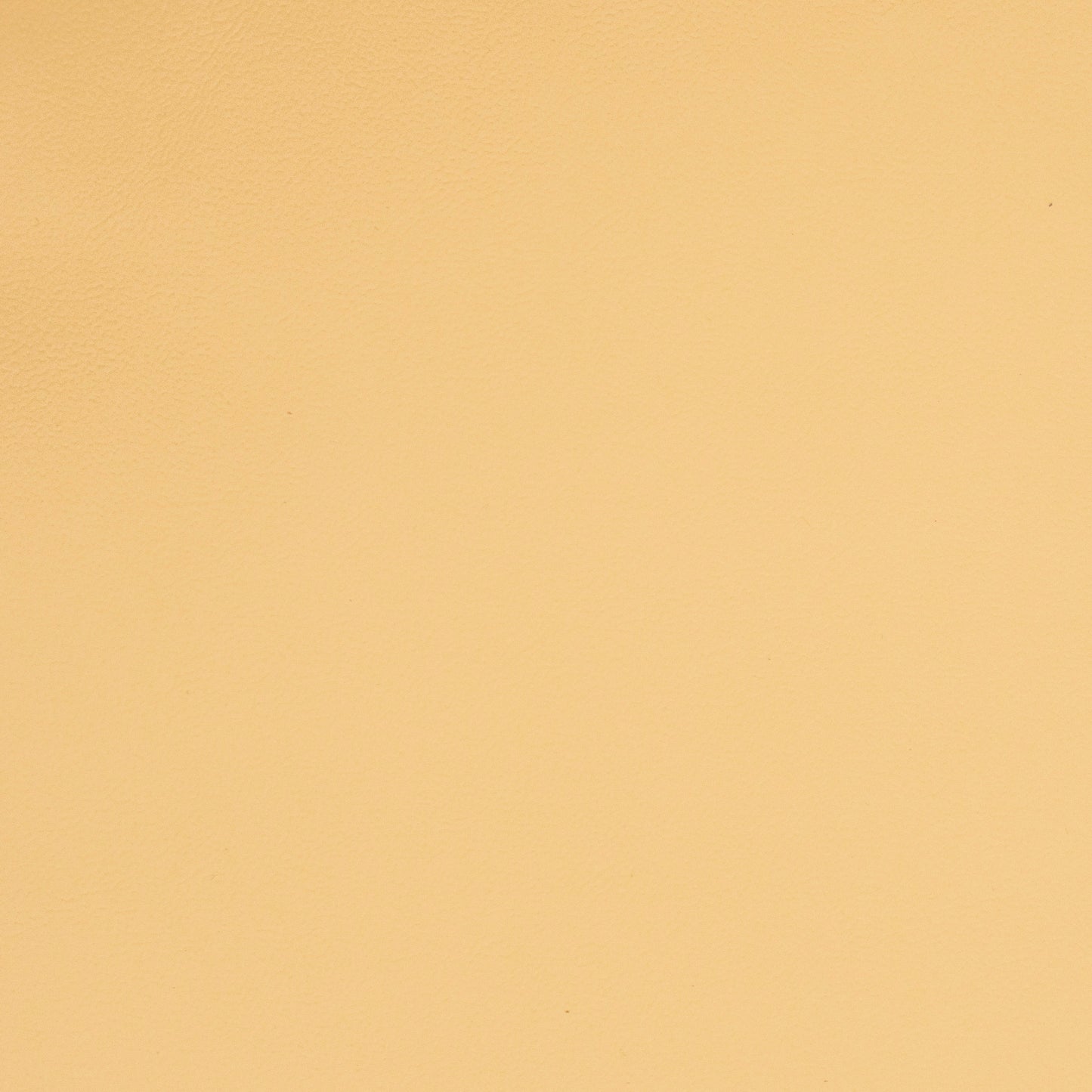 Solid beige leather color swatch
