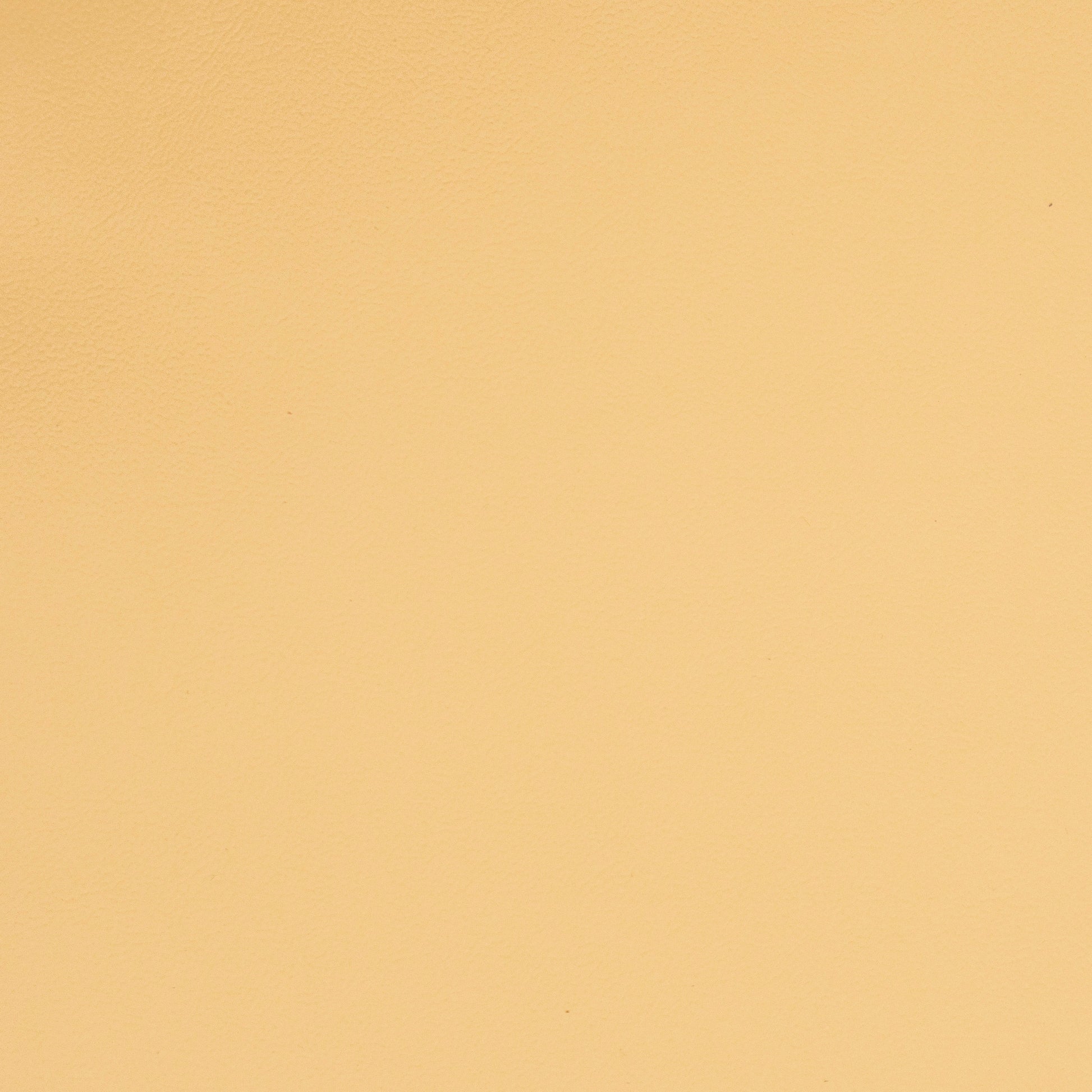 Solid beige leather color swatch