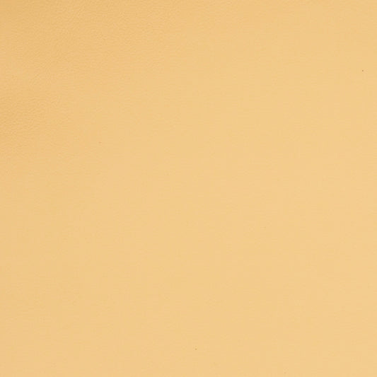 Solid beige leather color swatch